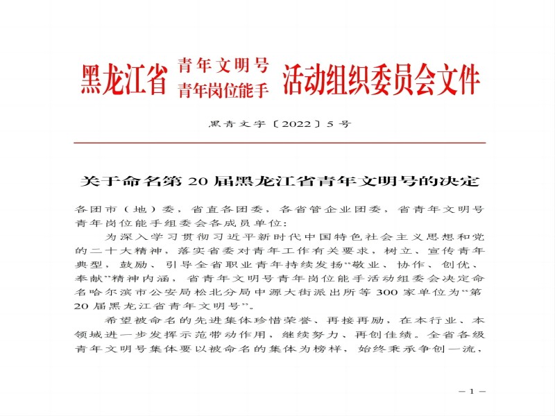 喜報！水利水電集團(tuán)二公司第一項目部 榮獲“第20屆黑龍江省青年文明號”
